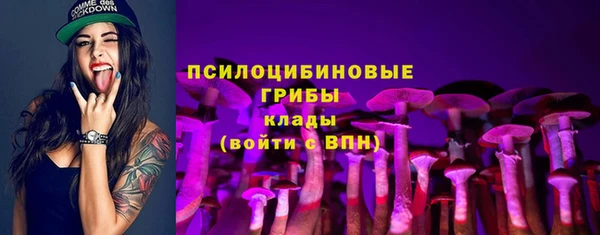 хмурый Михайловск