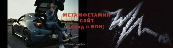 прущие грибы Арсеньев