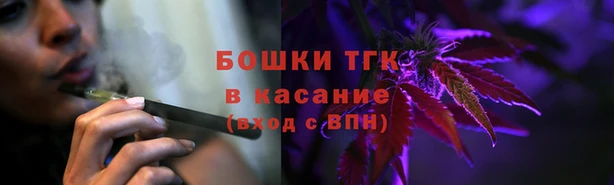 прущие грибы Арсеньев