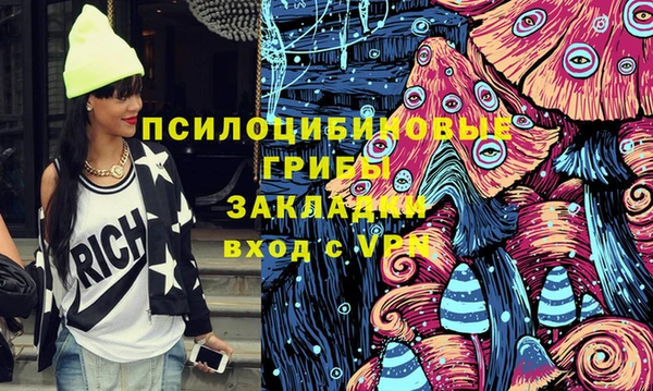 гашик Армянск