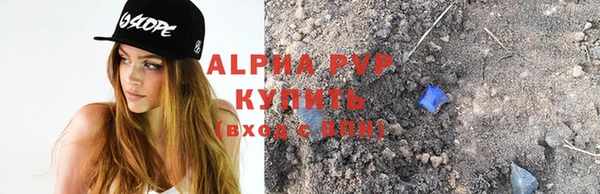 прущие грибы Арсеньев