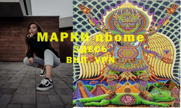 хмурый Михайловск