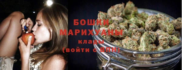 прущие грибы Арсеньев