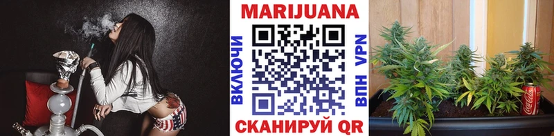Канабис SATIVA & INDICA  Асино 